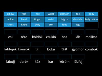 test részei (összes) angolul