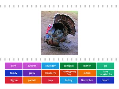 Thankgiving Day (vocabulary)