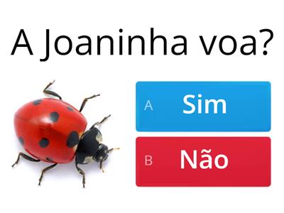 "Joaninha"