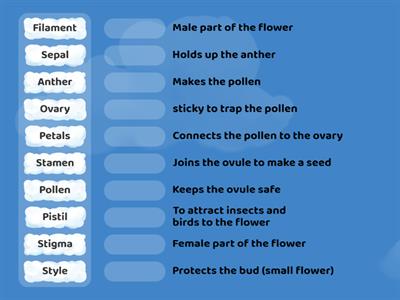 Parts of the flower and their functions