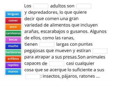 ¿Qué comen los anfibios?