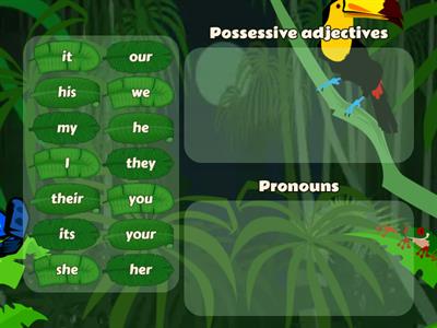 Unit 1 pronouns & possessive adjectives
