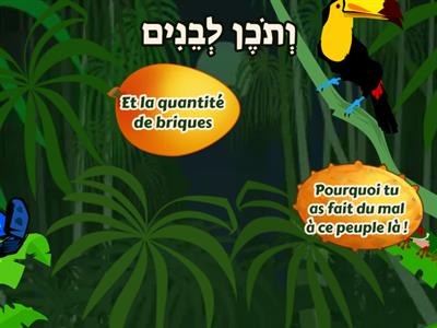 Jeux de rapidité  : 10 Mots sur le perek ה passouk טז à כג