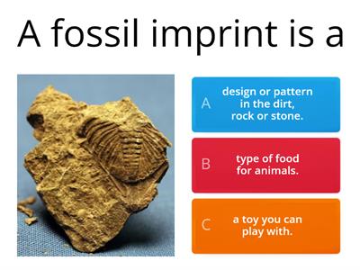Fossils - Quiz - Grade 3