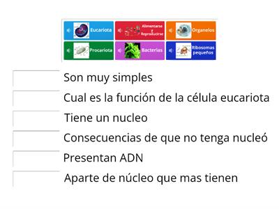 Eucariota y Procariota