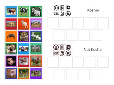 EYFS Kosher Animals