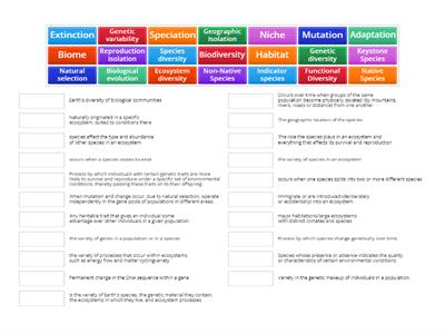 Chapter 4 Biodiversity and Evolution Vocab