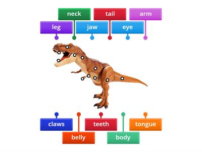 parts of a t rex