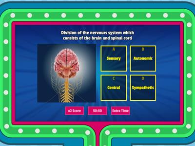 Divisions of the Nervous System Quiz