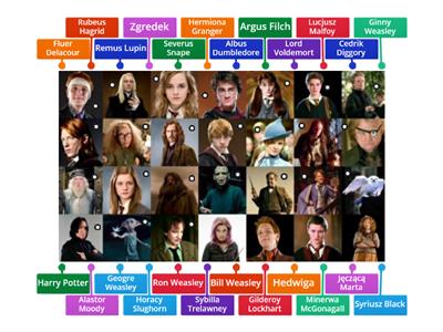 rozpoznaj postacie z serii Harry Potter