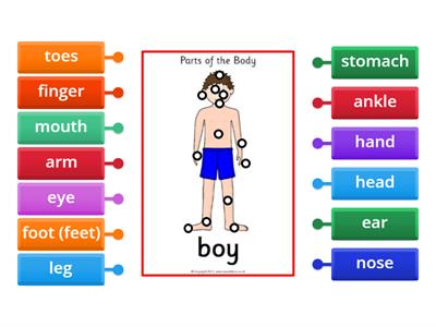 9.1 Parts of the body (Outcomes Beginner)