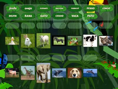 animales