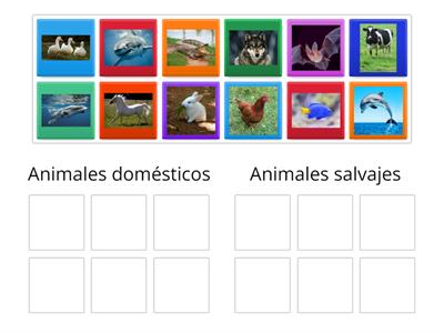 Animales domésticos o salvajes