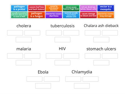 Describe some common infections (Edexcel GCSE Bio)
