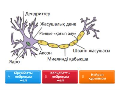 Жасанды нейронды желі