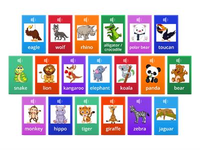 Zoo animals 1