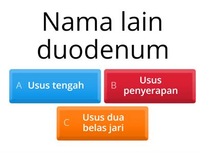 Sistem Pencernaan Pada Manusia