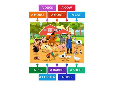 Farm animals 