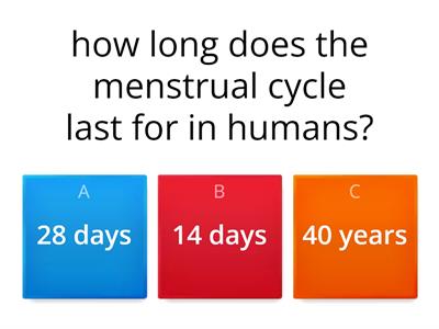 menstrual cycle quiz