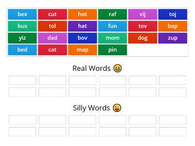 Real or Silly Words (CVC)