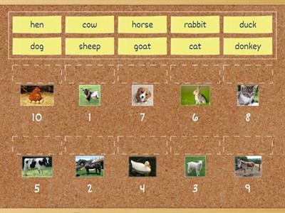 Farm animals match picture