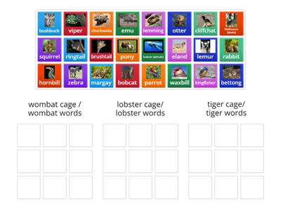 Get the animals back in their correct cages! (sort by syllable division patterns-VCCV, VCCCV, VCV)