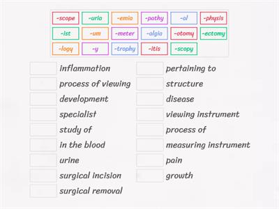 Common suffixes