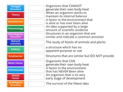 Evolution Vocabulary - 1