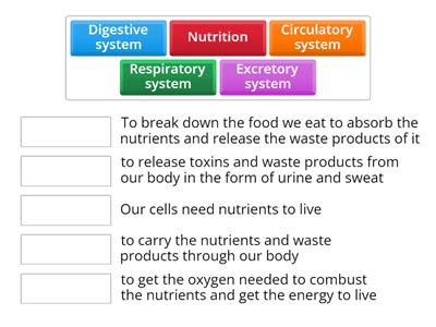 Nutrition and its systems