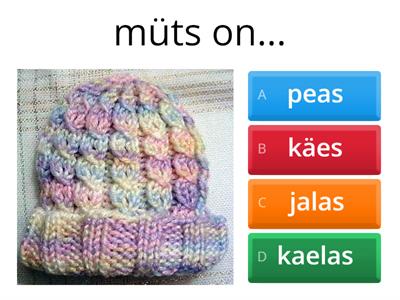 peas, seljas, käes, jalas, kaelas...