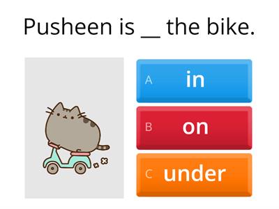 Pusheen Quiz: In, On, Under, Next to