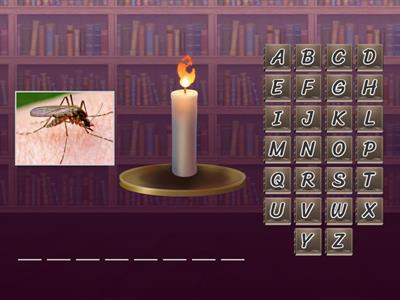 Hangman Insects