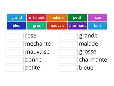  GC Leçon 3 A Adjectifs féminins et masculins 