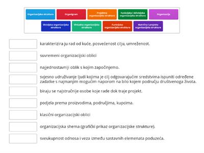 Organizacijska struktura poduzetničkog pothvata