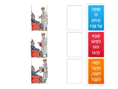 סוכה פרק ב משנה ט