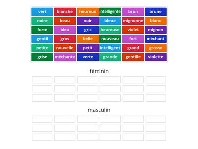 Masculin/féminin - les adjectifs