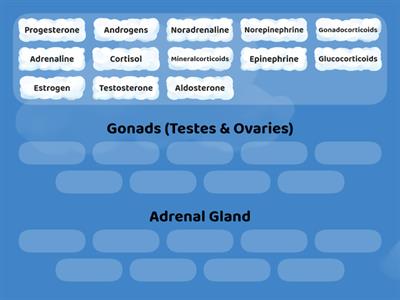 C10. Endocrine Sys - Gland & Hormone (P2)