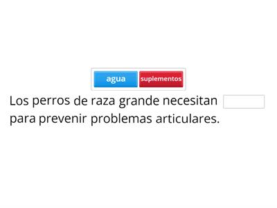 Vocabulario de cuidados básicos de una mascota.