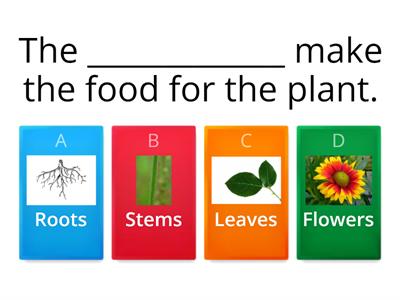 Parts of a Plant