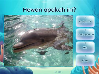 Quiz about sea animals