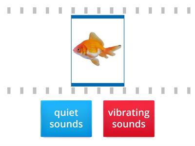 FIS  (quiet or vibrating sounds ALL)
