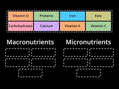 Macronutrients and Micronutrients