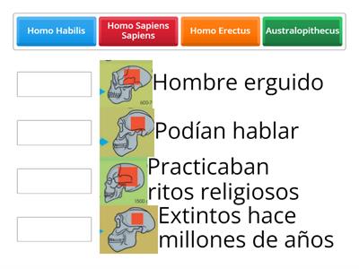 Relacione las columnas 