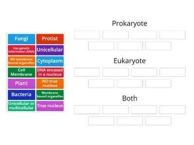 Eukaryote vs Prokaryote