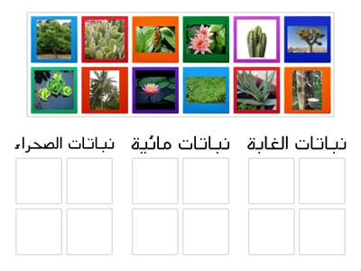 أنواع النباتات