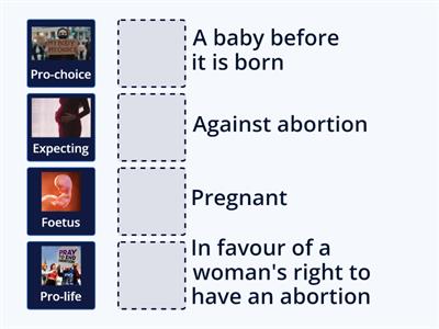 Abortion Vocabulary