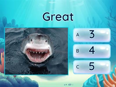 Shark Phonemes Quiz! 