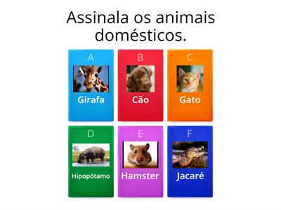 Animais domésticos/ animais selvagens