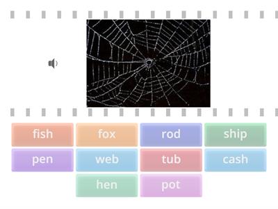 Wilson substep 1.1 wordlist #3 all vowels