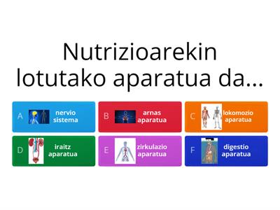 Nutrizio funtzioa: digestio aparatua